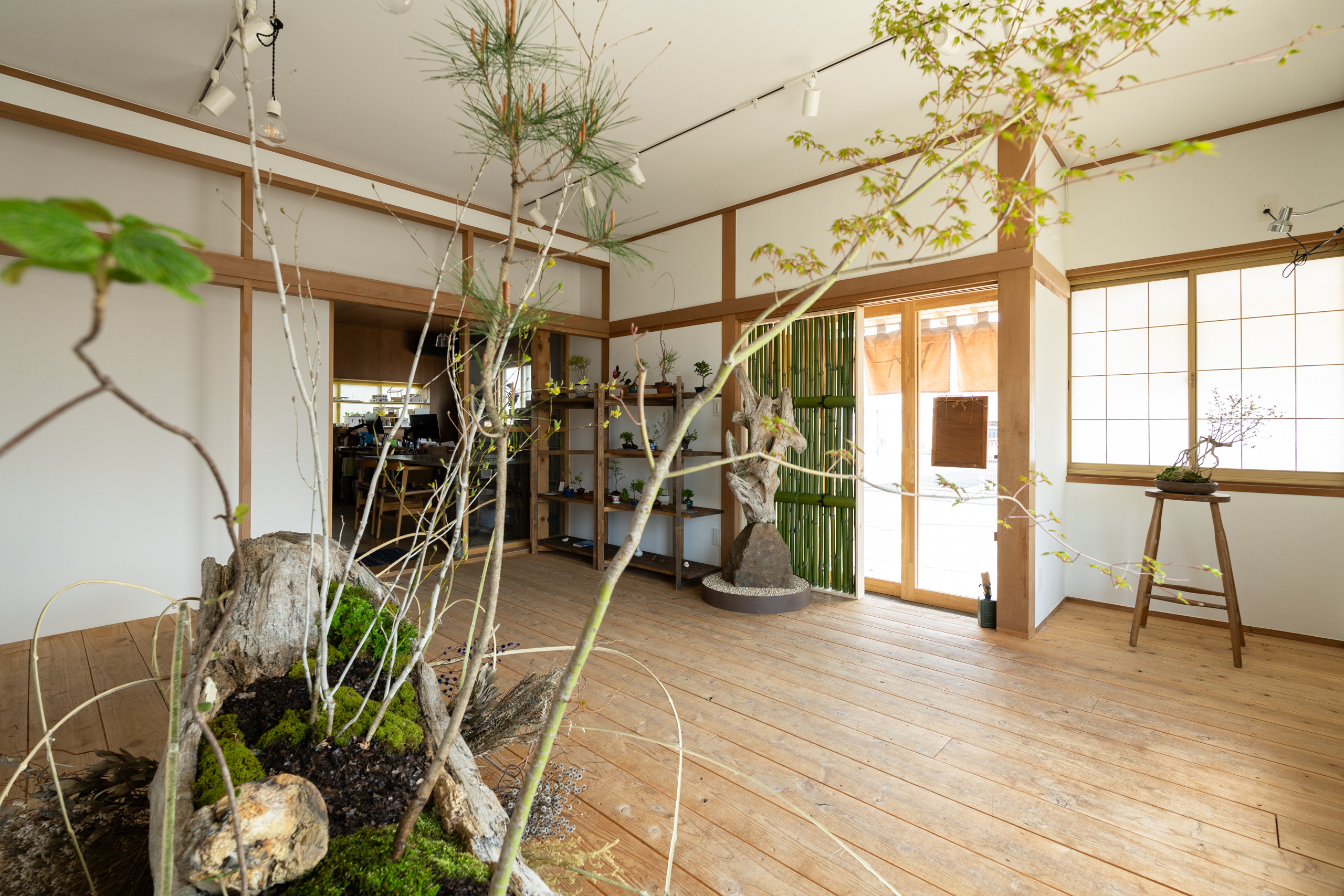 旅をする木　野添匠　南東から