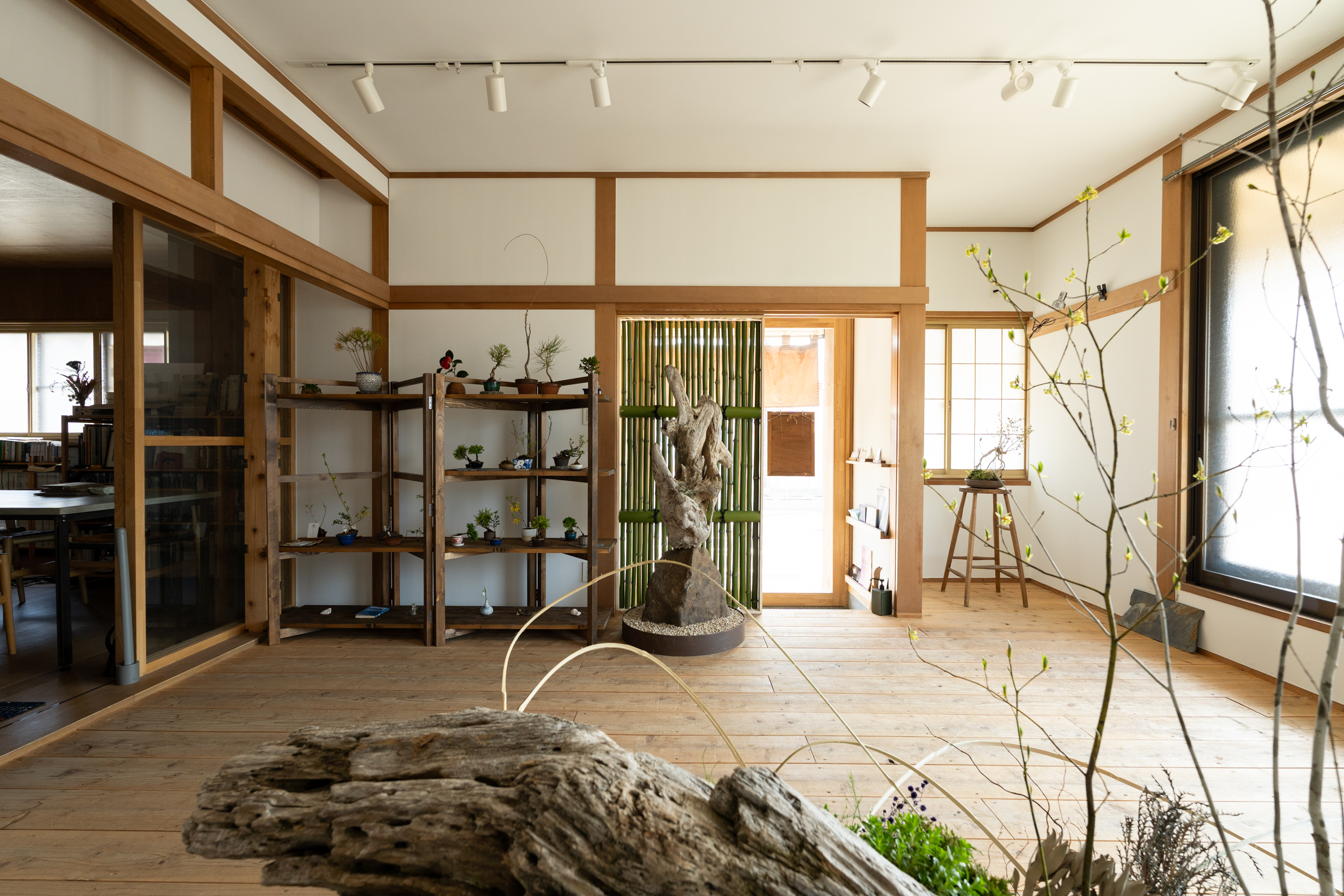 旅をする木　野添匠　西側から
