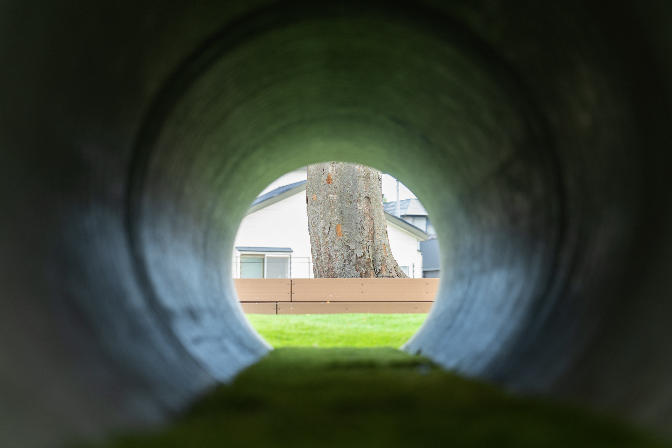 あおもりみなみこども園　園庭　トンネル